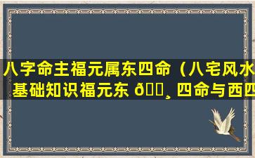 八字命主福元属东四命（八宅风水基础知识福元东 🕸 四命与西四命）